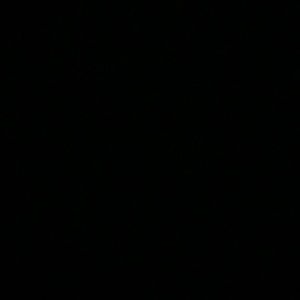 Meet your Posher, Harmony